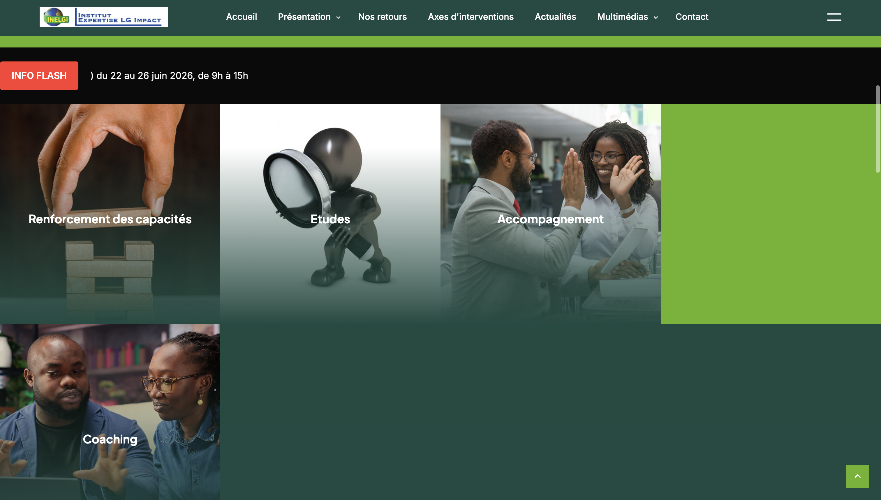 Aperçu du site Inelgi